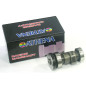 ATHENA Complete Crankshaft for KAWASAKI KLX 110 2002-2009