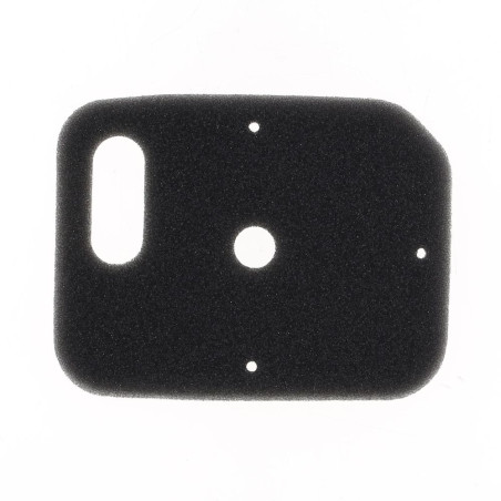 ATHENA dual stage fire-retardant Air Filter for YAMAHA PW 50 1982-2025
