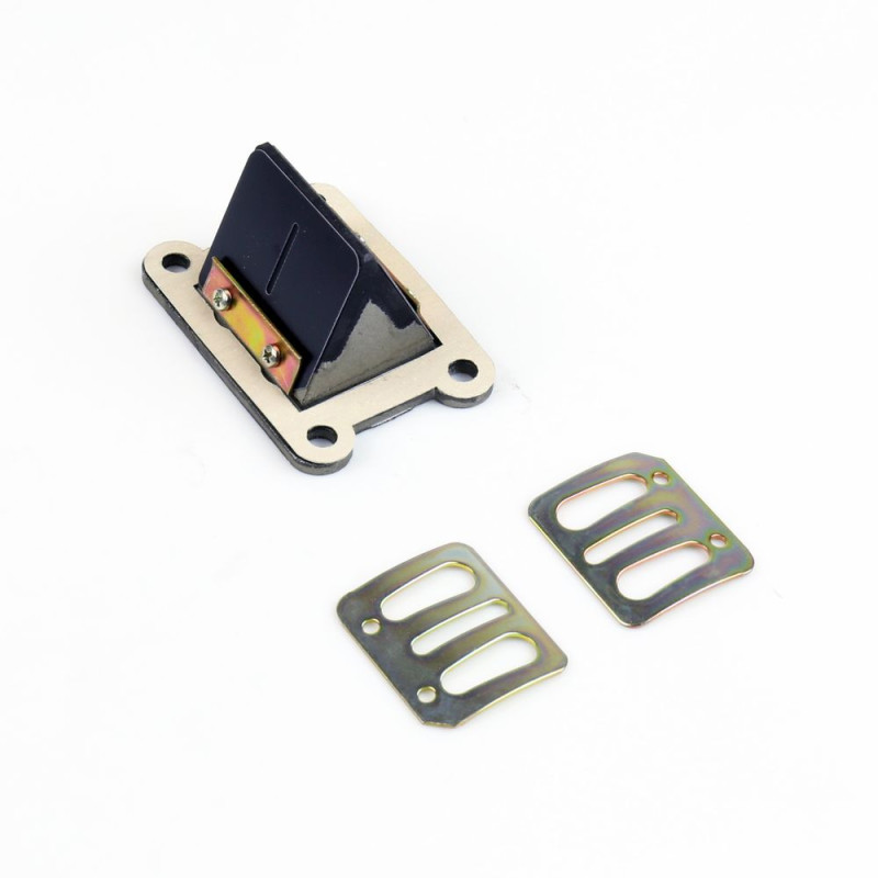 Boîte à clapets ATHENA pour BETA RR 50, RIEJU MRT 50 et APRILIA MX 50, RX 50 de 1995 à 2024
