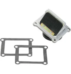 Caja de láminas BOYESEN para SUZUKI RM 125 2001