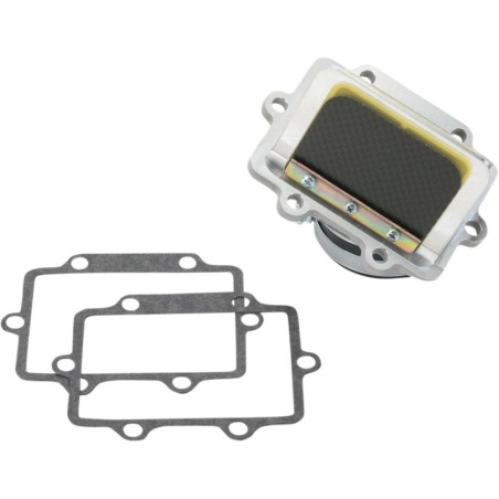 Caja de láminas BOYESEN para SUZUKI RM 250 2001