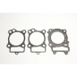 ATHENA Racing Zylinderdichtsatz für HONDA CRF 150 2007-2026