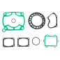 INNTECK Top End Gasket Kit for SUZUKI RMX 250 1989-1998
