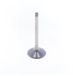 ATHENA titanium Exhaust Valve for YAMAHA WRF 450, YZF 450 and FANTIC XEF 450, XXF 450 2023-2027