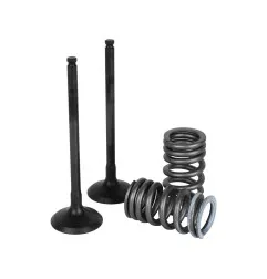 WISECO Stahl Auslassventil für KTM SXF 350, XCF 350 und HUSQVARNA FC 350 2013-2015