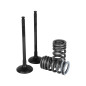 WISECO steel Intake Valve for SUZUKI RMZ 250 2007-2027 WISECO steel Intake Valve for SUZUKI RMZ 250 2007-2027
