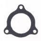 ATHENA Exhaust Gasket for GAS GAS EC 125, MC 125 2001-2014