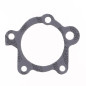 ATHENA Auspuffdichtung für HONDA CR 250 1985-1991