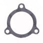 ATHENA Auspuffdichtung für HONDA CR 250, CR 450, CR 480 1981-1983
