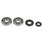 ATHENA Kurbelwellenlager- und Dichtringsatz für YAMAHA YZ 250 und FANTIC XE 300, XX 250 2001-2027 ATHENA Kurbelwellenlager- und Dichtringsatz für YAMAHA YZ 250 und FANTIC XE 300, XX 250 2001-2027