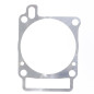 ATHENA Cylinder Base Gasket for HUSQVARNA TE 310, TXC 310 2011-2014