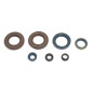 Juego de retenes de motor ATHENA para KTM EGS 620, EXC 350, EXC 400, EXC 500, SX 620 de 1989 a 1998