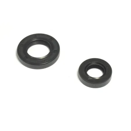 ATHENA Engine Oil Seal Kit for YAMAHA TT 230 2005-2007