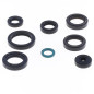 ATHENA Engine Oil Seal Kit for TM RACING EN 125, EN 144, MX 125, MX 144 2015-2024