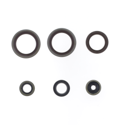 Juego de retenes de motor ATHENA para BETA RR 125, RR 200 de 2019 a 2024
