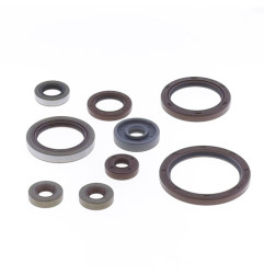 Juego de retenes de motor ATHENA para BETA RR 350, RR 390, RR 430, RR 480, RX 450 de 2011 a 2026