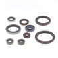ATHENA Engine Oil Seal Kit for BETA RR 350, RR 390, RR 430, RR 480, RX 450 2011-2026