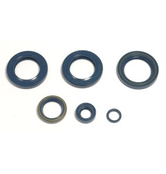 Jeu de joints spi moteur ATHENA pour KTM EGS 400, EXC 400, EXC 620, LC4 620, SX 400, SX 540, SX 620 de 1996 à 2001