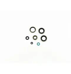 Juego de retenes de motor ATHENA para KAWASAKI KDX 200 de 1995 a 2003