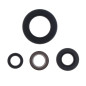 ATHENA Engine Oil Seal Kit for YAMAHA TTR 250 1999-2006