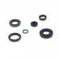 Juego de retenes de motor ATHENA para TM RACING EN 125, EN 144, MX 125, MX 144 de 2012 a 2018