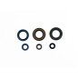 ATHENA Engine Oil Seal Kit for KTM GS 350, GS 500, MX 350, MX 500, SX 440, SX 500, SX 540 1986-1996