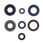 Juego de retenes de motor ATHENA ref. P400130400204/1 para BETA RR 50, RIEJU MRT 50 y APRILIA MX 50, RX 50 de 1995 a 2024