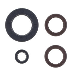 ATHENA Engine Oil Seal Kit for KTM GS 250, MX 250 1980-1981