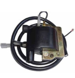 Bobine d'allumage TECNIUM DZE pour HONDA XL 125 VARADERO, KAWASAKI KLR 600, YAMAHA XT 500 et FANTIC TRIAL 301 de 1979 à 2015