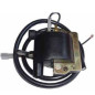 TECNIUM ignition coil for HONDA XL 125 VARADERO, KAWASAKI KLR 600, YAMAHA XT 500 and FANTIC TRIAL 301 1979-2015 TECNIUM ignition coil for HONDA XL 125 VARADERO, KAWASAKI KLR 600, YAMAHA XT 500 and FANTIC TRIAL 301 1979-2015