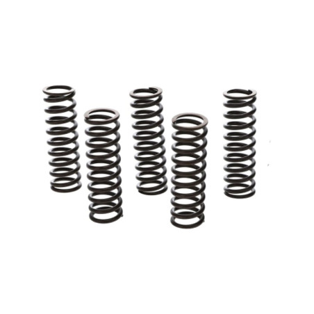 Kit de muelles de embrague PROX para FANTIC XE 125, XX 125 y YAMAHA YZ 125 de 2022 a 2026
