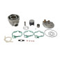 ATHENA Big Bore 80 Zylinderkit Ø50 mm für RIEJU MRT, RR 50, BETA RR 50, APRILIA MX, PEGASO, RX 50 und HM CRE 50 1992-2024 ATHENA Big Bore 80 Zylinderkit Ø50 mm für RIEJU MRT, RR 50, BETA RR 50, APRILIA MX, PEGASO, RX 50 und HM CRE 50 1992-2024