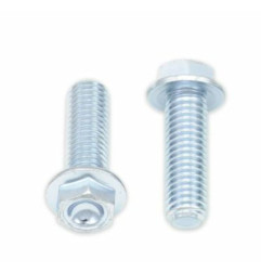 Vis à bride BOLT tête hexagonale 10mm M8x1,25x25mm 10 pièces