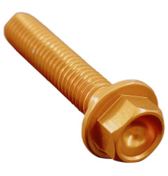 Vis standard LIGHTECH M6 X 40 ergal or à l'unité