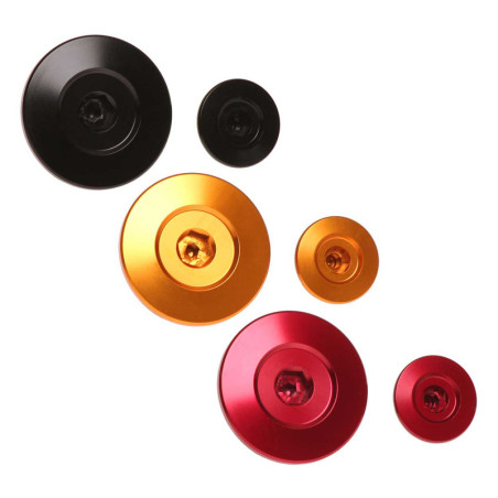 Kit de bouchons de calage moteur RFX Pro Series - noir pour HONDA CRF 150, CRF 250 X, CRF 450, CRF 450 X, XR 250 de 1995 à 2027