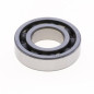 ATHENA Crankshaft Bearing for BETA RR 300 2013-2022 ATHENA Crankshaft Bearing for BETA RR 300 2013-2022