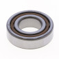 ATHENA Crankshaft Bearing for KTM SX 85, SX 105, HUSQVARNA TC 85 and GAS GAS MC 85 2003-2027 ATHENA Crankshaft Bearing for KTM SX 85, SX 105, HUSQVARNA TC 85 and GAS GAS MC 85 2003-2027