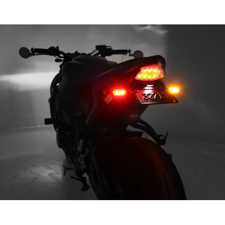 Intermitentes traseros Switchback DENALI T3