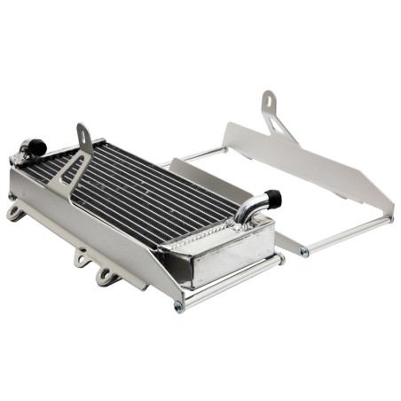 CROSS-PRO radiator guard for BETA RR 125, RR 300, RR 350, RR 390, RR 430 2020-2026