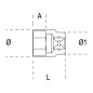 BETA sockets and ratchet