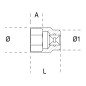 Vasos y carraca BETA