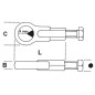 Extractor BETA