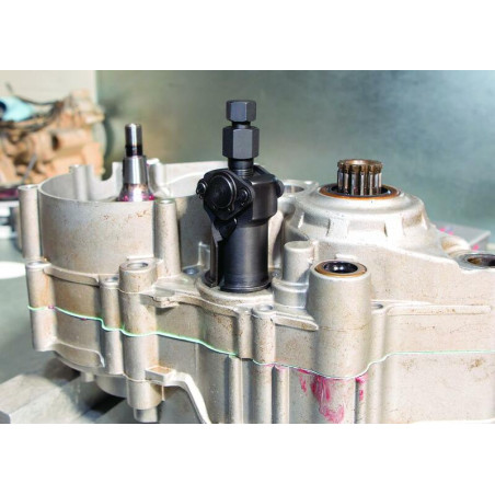MOTION PRO sockets and ratchet