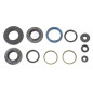 Juego de retenes de motor ATHENA para YAMAHA GRIZZLY 700 de 2007 a 2010