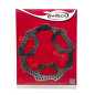 Disco de freno INNTECK Ø260 mm delantero para HONDA CRF 250, CRF 450 de 2014 a 2027