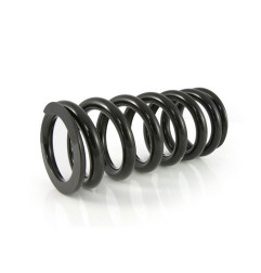 Muelle de amortiguador INNTECK WP PDS para KTM y HUSABERG de 1998 a 2016
