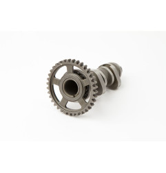 Árbol de levas HOT CAMS Stage 3 para HONDA CRF 450 2009