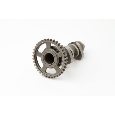 Arbre à cames HOT CAMS Stage 1 pour HONDA CRF 450 2009