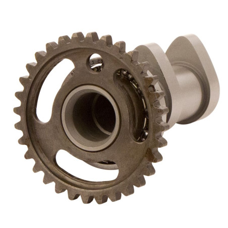 HOT CAMS Stage 2 Einlass-Nockenwelle für SUZUKI RMZ 250 2010-2015