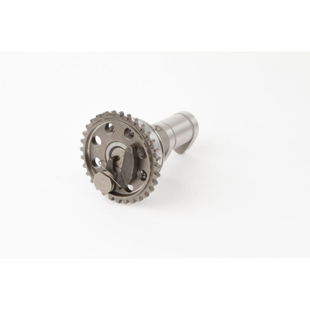 Árbol de levas de escape HOT CAMS Stage 1 para YAMAHA WRF 250, YZF 250 de 2001 a 2014